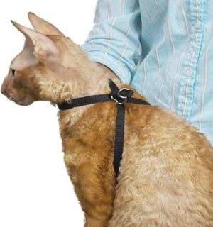 Top Performance Nylon Adjustable Cat Grooming Harness