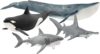 Schleich Ocean Animals 4-Piece Toy Set