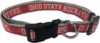 Pets First Ohio State Buckeyes Dog Collar, Large