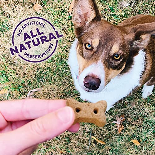 Old Mother Hubbard Classic Savory Mix Natural Dog Treats - Image 4