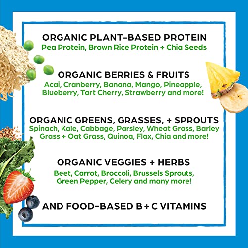 Orgain Organic Protein + Superfoods & Vegan Protein Powder Bundle - Image 4