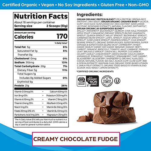 Orgain Organic Protein + Superfoods & Vegan Protein Powder Bundle - Image 2