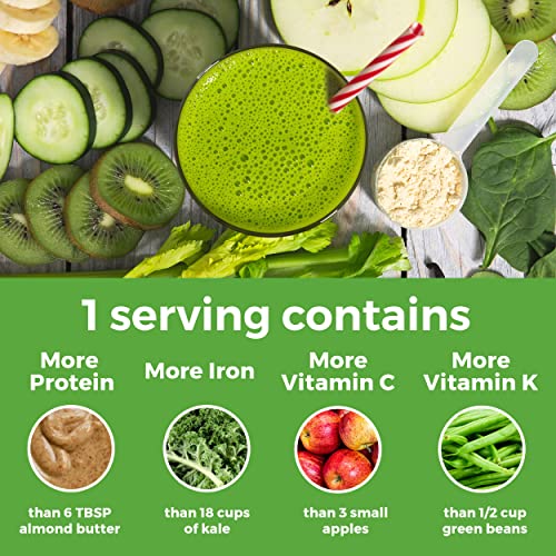 Orgain Vegan Protein Powder With Greens - Image 3