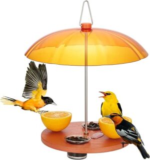 Kingsyard Oriole Bird Feeder With Jelly Platform