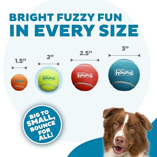 Outward Hound Squeaker Ballz Fetch Dog Toy, Small - Image 3