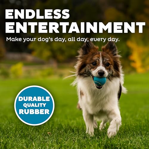 Outward Hound Squeaker Ballz Fetch Dog Toy, Small - Image 4