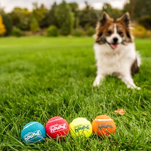 Outward Hound Squeaker Ballz Fetch Dog Toy, Small - Image 5