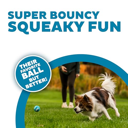 Outward Hound Squeaker Ballz Fetch Dog Toy, Small - Image 2
