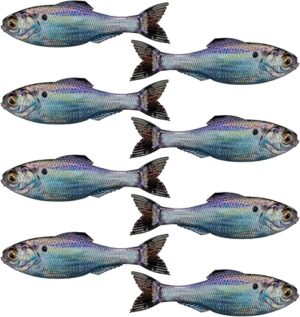 6th Sense Panorama Soft Plastic Lure – Lifelike Body