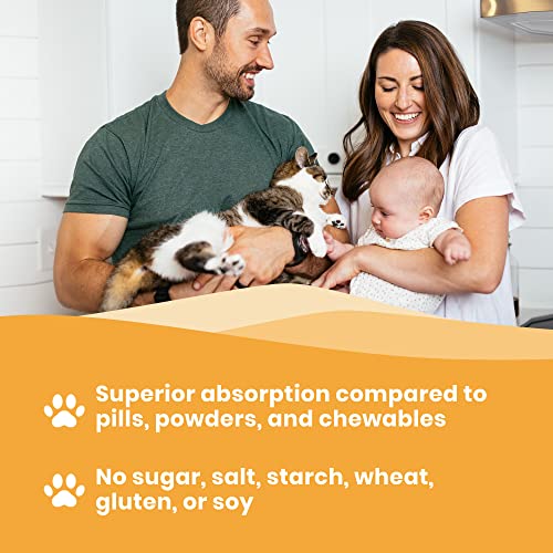 Paramount Pet Health Natural Glucosamine Msm Arthritis Relief Supplement - Image 5