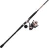 PENN Passion II Spinning Reel & Rod Combo