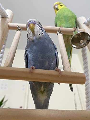 Penn-Plax Bird Life Foldable Playpen β Extra-Extra Large - Image 2