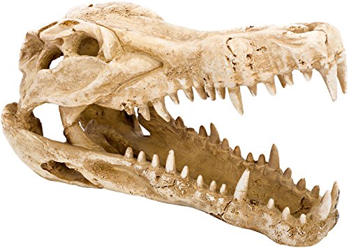 Penn-Plax Crocodile Skull Resin Ornament (RR1065) - Image 2