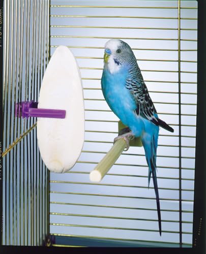 Penn-Plax Cuttlebone For Birds & Parakeets With Holder - Image 3