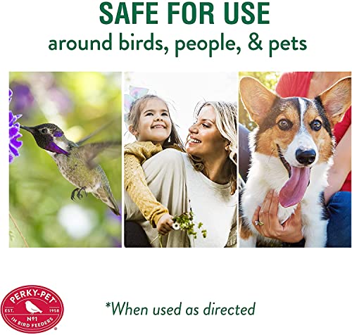 Perky-Pet Ant Guard For Hummingbird Feeders, 4 Pack - Image 4