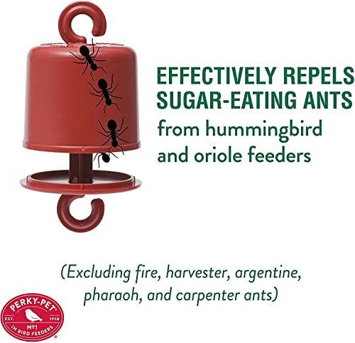 Perky-Pet Ant Guard For Hummingbird Feeders, 4 Pack - Image 2