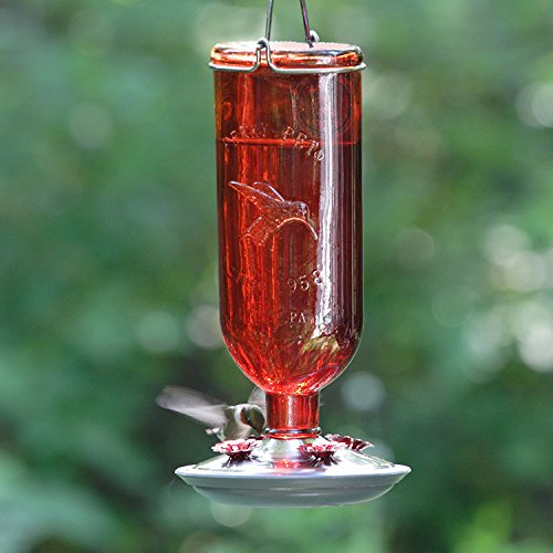 Perky-Pet Antique Glass Bottle Hummingbird Feeder 8109-2 - Image 3