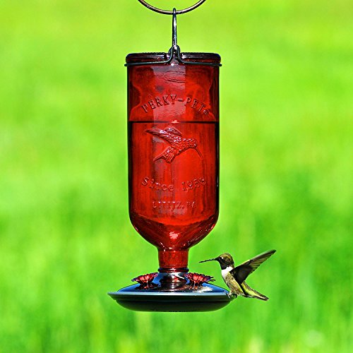 Perky-Pet Antique Glass Bottle Hummingbird Feeder 8109-2 - Image 4