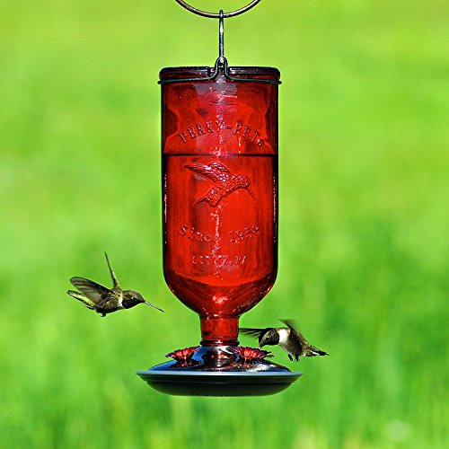 Perky-Pet Antique Glass Bottle Hummingbird Feeder 8109-2 - Image 5