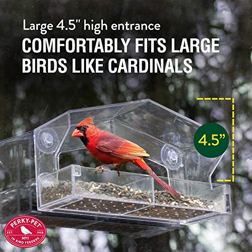 Perky-Pet Clear Outdoor Window Bird Feeder 347 - Image 3
