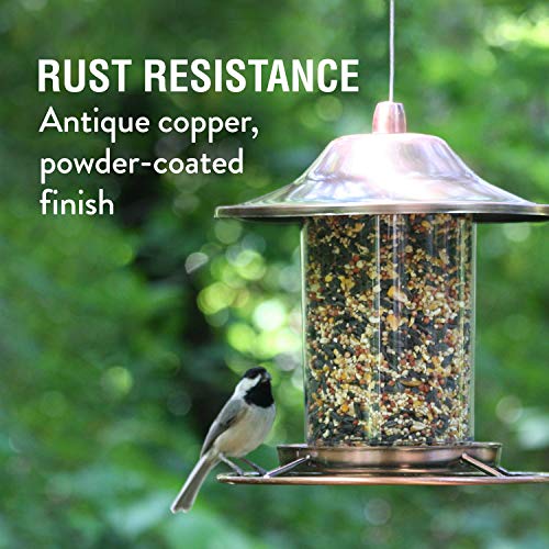 Perky-Pet Copper Panorama Bird Feeder 312C - Image 3