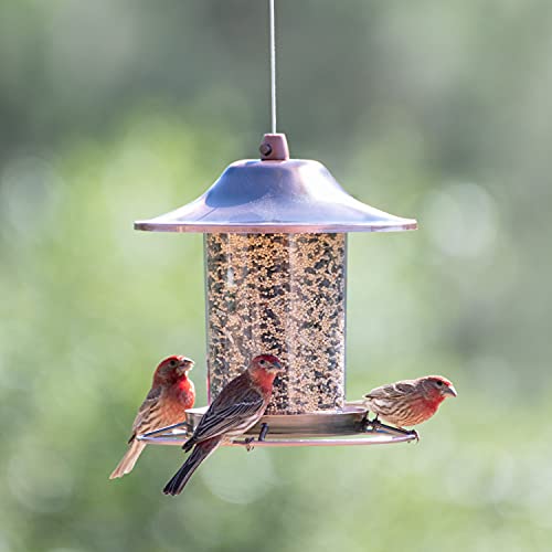 Perky-Pet Copper Panorama Bird Feeder 312C - Image 2