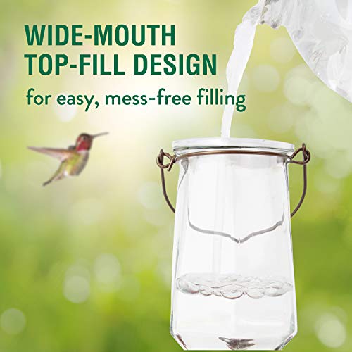Perky-Pet Crystal Top-Fill Glass Hummingbird Feeder 9109-1SR - Image 3