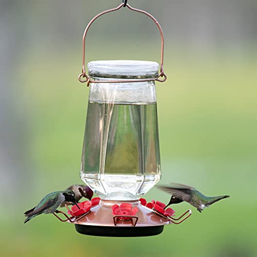 Perky-Pet Crystal Top-Fill Glass Hummingbird Feeder 9109-1SR - Image 2