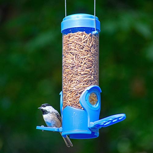 Perky-Pet Dried Mealworm Bird Feeder 388F - Image 2