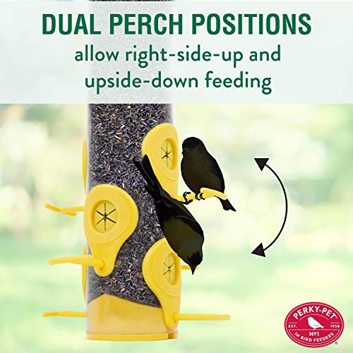 Perky-Pet Finch Feeder With Flexports 481F - Image 5