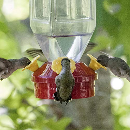 Perky-Pet Lantern Hummingbird Feeder 201 - 18 oz - Image 5