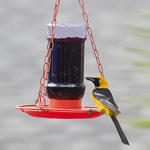 Perky-Pet Oriole 32 Oz. Plastic Nectar Feeder - Image 2