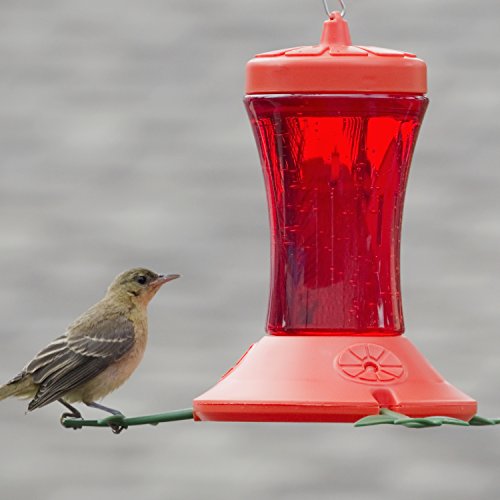 Perky-Pet Oriole Feeder 466-6 24-Ounce - Image 3