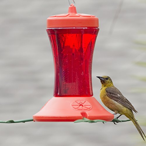 Perky-Pet Oriole Feeder 466-6 24-Ounce - Image 4