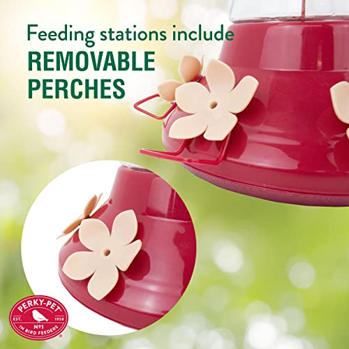 Perky-Pet Top-Fill Pinch-Waist Glass Hummingbird Feeder 9202-2 - Image 4