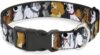 Buckle-Down Pet Collar, Dog Collar Plastic Buckle