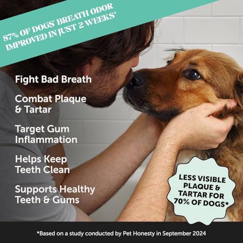 Pet Honesty Dog Multivitamin Max Strength + Dental Powder - Image 3