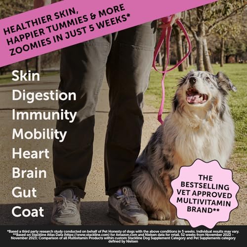 Pet Honesty Dog Multivitamin Max Strength + Dental Powder - Image 2
