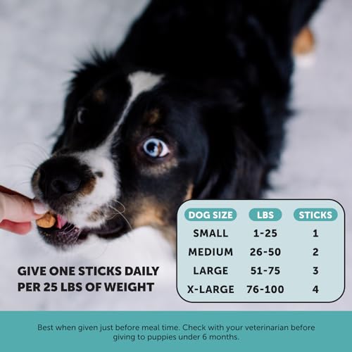 Pet Honesty Hemp Calming Dental Sticks For Dogs - Image 4