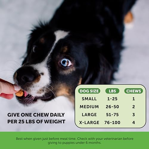 Pet Honesty Probiotics For Dogs, Digestive Support, Gut Health - Image 5