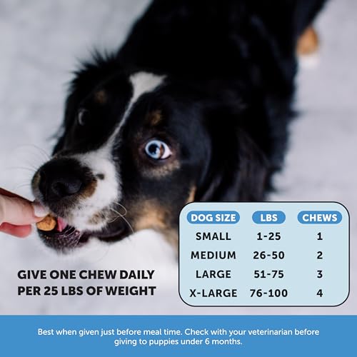 Pet Honesty Salmon Oil Chews For Healthy Skin - Image 4