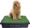 PetSafe Pet Loo Portable Dog Potty Alternative