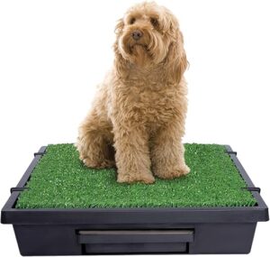 PetSafe Pet Loo Portable Dog Potty Alternative
