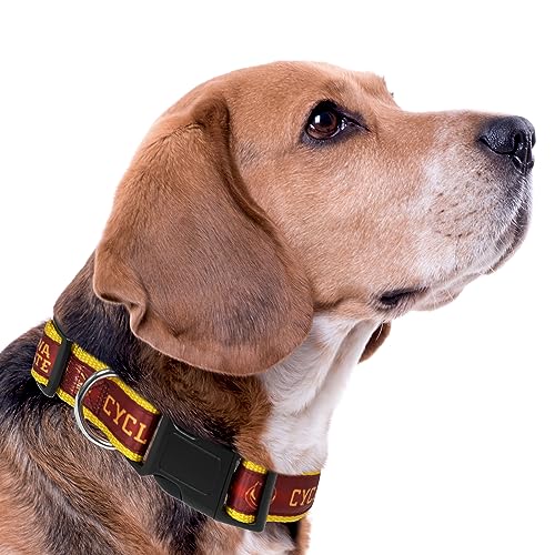 Pets First Missouri Tigers Dog Collar, Medium - Image 4