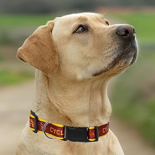 Pets First Missouri Tigers Dog Collar, Medium - Image 5