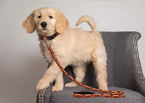 Pets First Philadelphia Flyers Leash For Dogs & Cats - Image 3