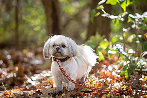 Pets First Philadelphia Flyers Leash For Dogs & Cats - Image 4