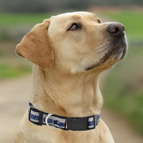 Pets First Tampa Bay Rays Large Pet Collar - Image 4