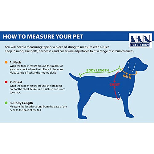 Pets First Tough Leather NFL Panthers Dog Collar - Image 4