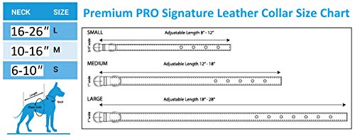 Pets First Tough Leather Philadelphia Eagles Dog Collar - Image 5
